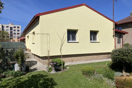 06.jpg